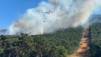 İstanbul'da Kayışdağı'nda orman yangını