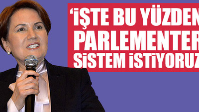 Meral Akşener'den sokağa çıkma yasağı iptaline tepki