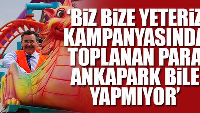 Muharrem İnce'den çarpıcı Ankapark örneği