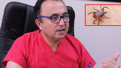 Prof. Yıldız'dan kene vakaları uyarısı