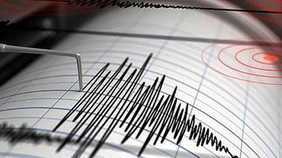 Şanlıurfa'da korkutan deprem