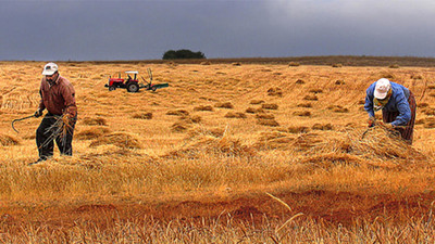 Tarımda girdi maliyeti arttı
