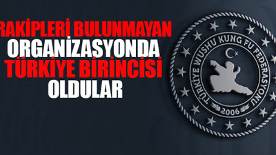 Türkiye Wushu Federasyonu'ndaki skandallara bir yenisi eklendi