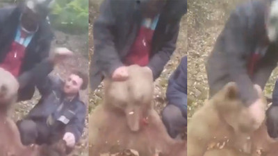 Ayıyı önce öldürdüler sonra işkence ettiler