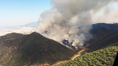 Bakan Pakdemirli: Bugün 12 ilde meydana gelen 19 orman yangınından 15’i kontrol altında, 3’ü söndürüldü