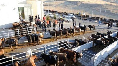 Bayram öncesi korkutan uyarı: 1 milyon kişi virüs bulaşma riski altında