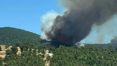 Çanakkale’de orman yangını