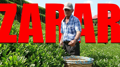 ÇAYKUR'dan Karadeniz fıkrası gibi yatırım