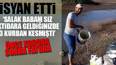 Çiftçiye bir darbe daha: Onlarca hayvan susuzluktan telef oldu