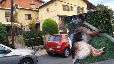Eşini ısırdı diye köpeği vahşice öldürdü