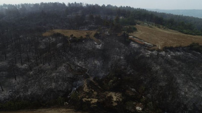 Gelibolu'daki yangın kontrol altına alındı