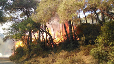 Heybeliada'daki orman yangınına ilişkin soruşturma