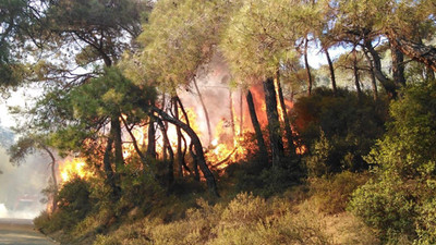 Heybeliada'daki yangınla ilgili 3 kişi gözaltına alındı