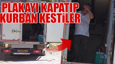 Kamyonet kasasında şoke eden görüntü