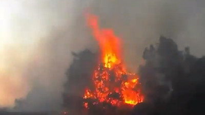 Lice'deki orman yangına müdahale edilmiyor iddiası