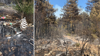 Mangal ateşi 42 dönüm kızılçam ormanı ve dört dönüm zirai araziyi kül etti