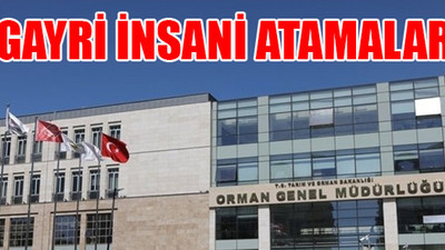 Orman Genel Müdürlüğü’ndeki atamalarda orman kanunları