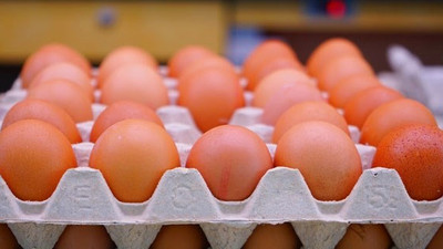 Yumurta üretimi 5 ayda yıllık yüzde 0.8 arttı