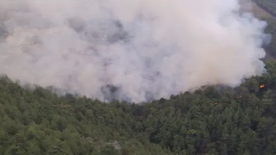 Adana'da ormanlık alanda yangın