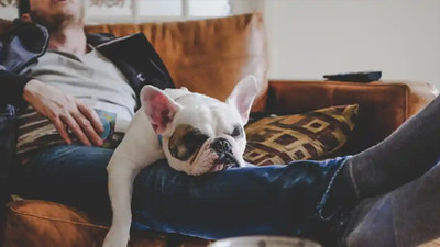 Almanya'da bir üniversite, aylaklık bursu veriyor