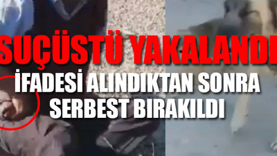 Anne köpeğe yavrularının gözü önünde tecavüz etti
