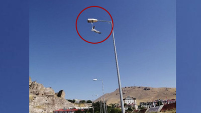 Ayağına maske takılan martı, direkte asılı kaldı