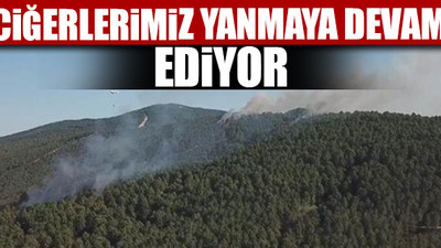 Aydos Ormanı'nda 4 farklı noktada yangın