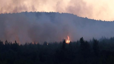 Aydos Ormanı'ndaki yangına müdahale eden itfaiyeye ateş açıldı