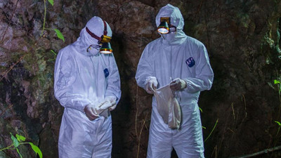 Bilim insanlarından yeni Kovid-19 iddiası: İlk olarak 2012'de görüldü