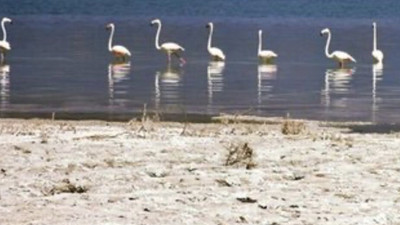 Burdur Gölü çölleşiyor