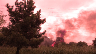 Büyükçekmece'de ağaçlık alanda yangın