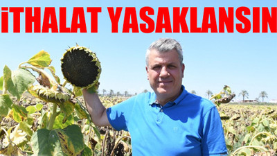 CHP'li Ayhan Barut'tan ayçiçeği tarlasında çağrı