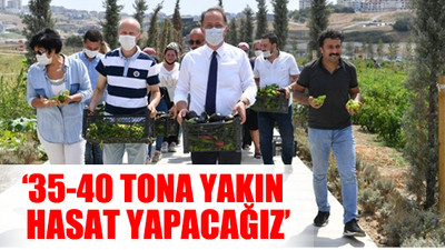 CHP'li belediyenin ‘Yaşam Bahçesi’ umut oldu