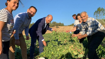CHP'li Şahin: Balıkesirli üreticiler dertlerini araçlarına yazar hale geldiler 