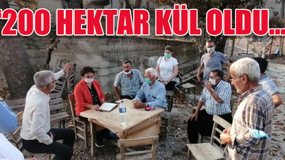 CHP'li Şevkin, yangın bölgesinde köylülerle dertleşti
