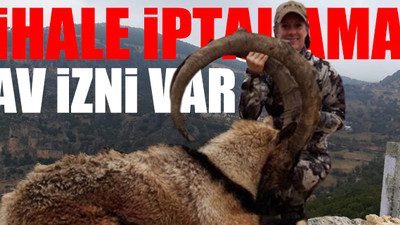 Dağ keçilerinin çilesi bitmiyor...