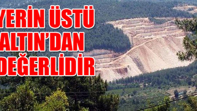 Ekoloji Birliği'nden talana karşı dava