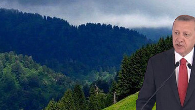 Erdoğan: Hedefimiz 2022'nin sonunda yeni bir Ayder ortaya çıkarmak