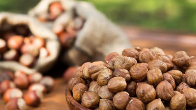 Fiskobirlik, fındık alımına başladı