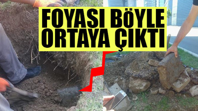 Gökçek'in betona diktiği ağaçlar kurudu