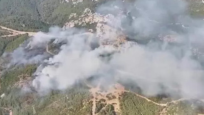 İzmir’de orman yangını