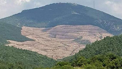 Kaz Dağları'nda ağaçları koruyanlara dudak uçuklatan cezalar...