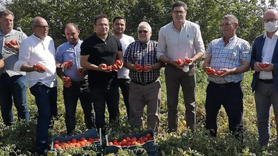 'Tarladaki 5 kilo domates, şehirde 1 bardak çay ediyor'
