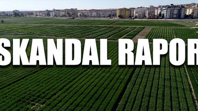 Trakya’daki tarım alanları yapılaşmaya açılabilecek