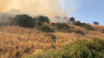UNESCO listesine giren Priene Antik Kenti'nde yangın