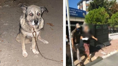 3 köpeği bıçakladı, serbest bırakıldı