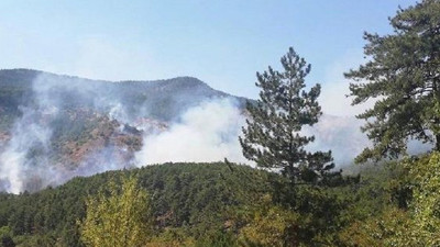 Ankara'da milli park ormanında yangın