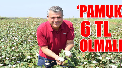 CHP'li Ayhan Barut, pamuk tarlasından seslendi