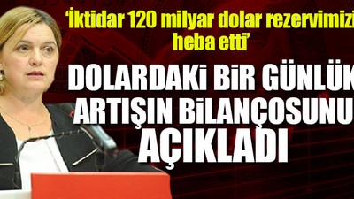 CHP'li Böke'den dolar açıklaması