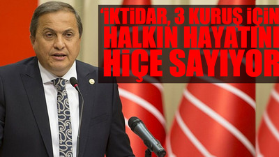 CHP’li Torun: Ordu ormanlarının 3’te 1’i maden sahası yapılmak isteniyor